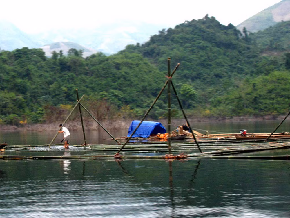 Tuyên Quang đầu tư 18 tỷ đồng phát triển thủy sản lòng hồ thủy điện ảnh 1