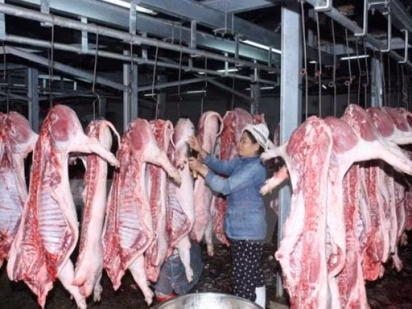 Bộ Nông nghiệp giải cứu ngành chăn nuôi lợn đang sụt giá “kỷ lục” ảnh 2