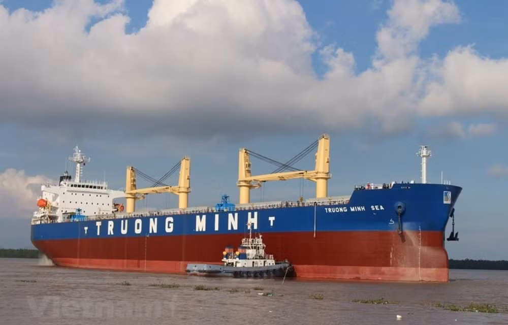 Vận tải biển: 'Chìa khóa' chiếm lĩnh thị trường là hiện đại hóa ảnh 1