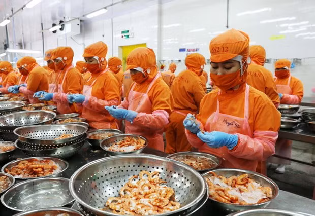 M&A cần sự cân bằng với nhu cầu doanh nghiệp trong nước ảnh 2