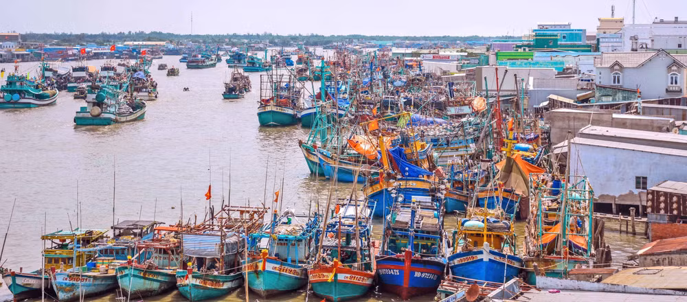 ttxvn_go_the_vang_iuu_2903-3.jpg