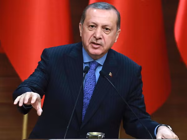 Tổng thống Erdogan: Truyền thông phương Tây dung túng âm mưu đảo chính ảnh 1