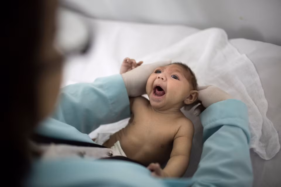 ​Trẻ sơ sinh đầu tiên ở châu Âu mắc chứng đầu nhỏ do nhiễm Zika ảnh 1