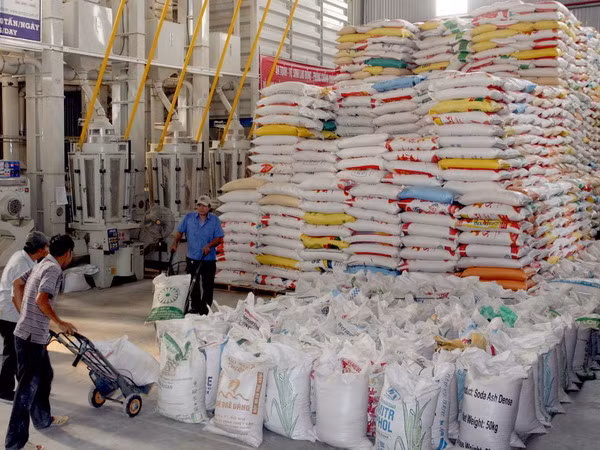Tìm hướng đi cho xuất khẩu gạo trong năm 2014 ảnh 1