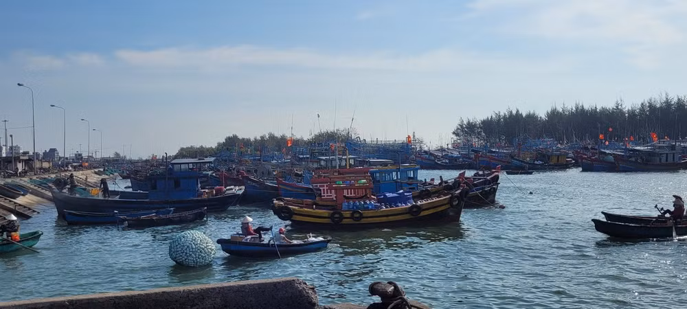 TTXVN_2706IUUVungtau.jpg