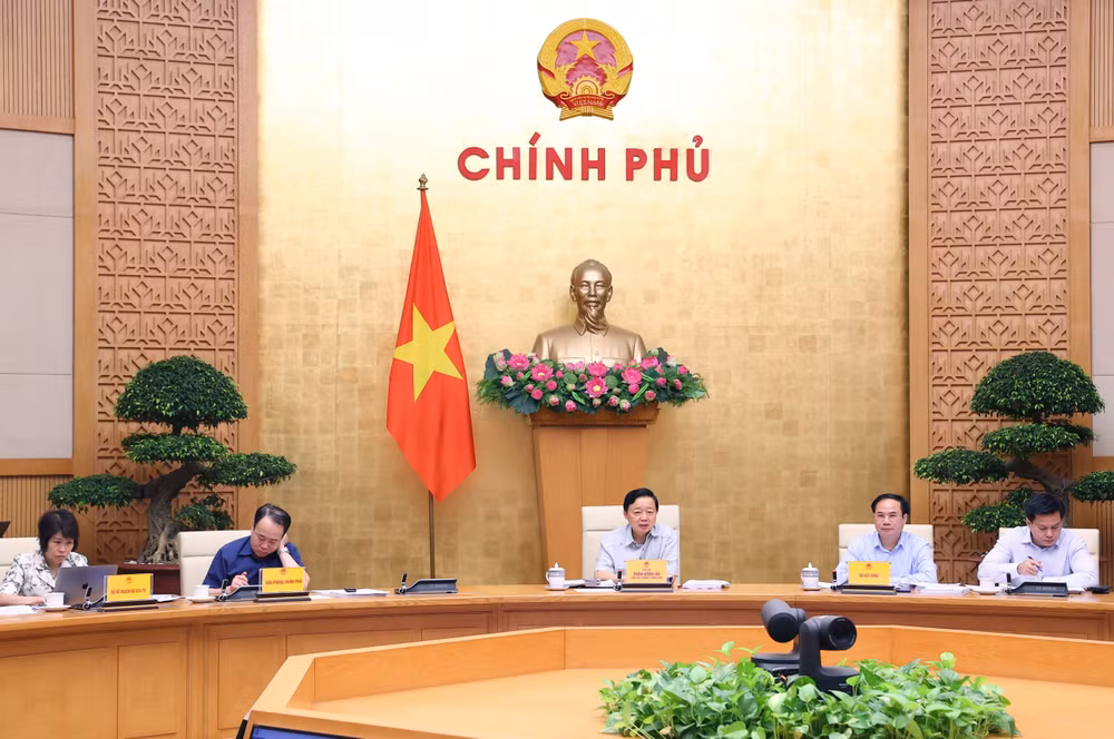 TTXVN_2006Luatnhao3.jpg