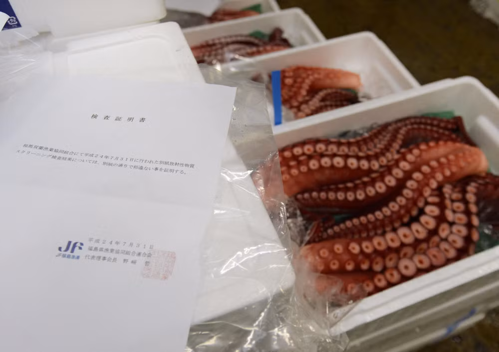 Hàn Quốc: Cần có giải pháp thay thế cho kế hoạch xả thải từ Fukushima ảnh 2