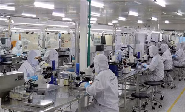 Sự kiên quyết trong cuộc chiến chống 'giặc nội xâm' của Việt Nam ảnh 3