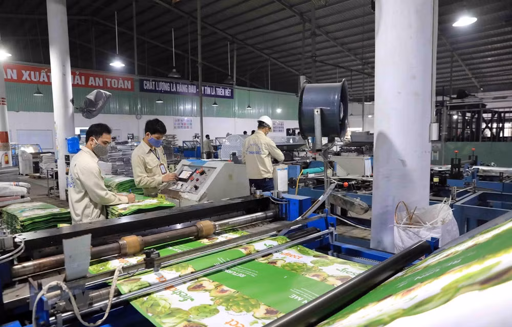 WB: Việt Nam có những cơ hội rất lớn để thu hút vốn đầu tư nước ngoài ảnh 1
