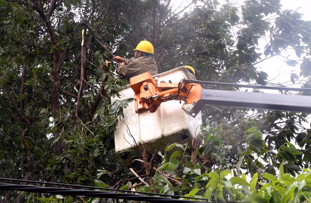 Hà Tĩnh khắc phục sự cố hệ thống lưới điện bị ảnh hưởng bởi bão số 4 ảnh 2