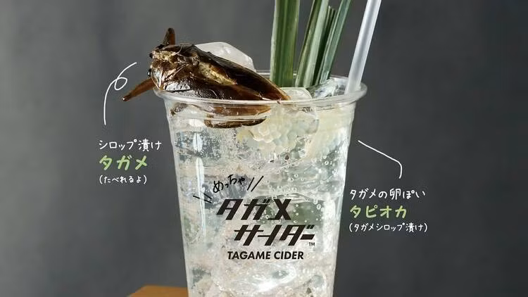 Sashimi tằm, mỳ cá sấu - những món ăn kỳ quặc trên thế giới ảnh 1