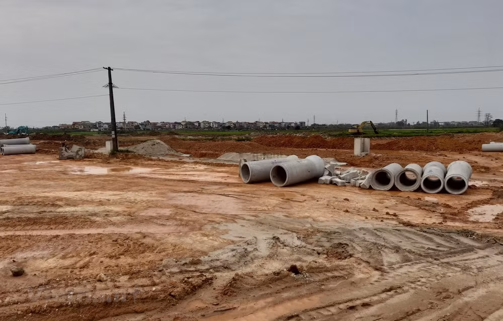 Tháo gỡ khó khăn về lĩnh vực đất đai cho doanh nghiệp ở TP.HCM ảnh 1