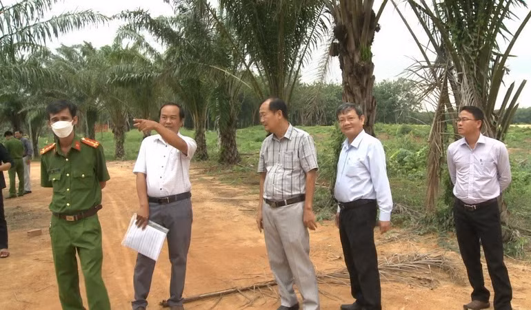 Vụ xâm lấn hồ Dầu Tiếng: Đoàn kiểm tra tỉnh Bình Dương vào cuộc ảnh 1