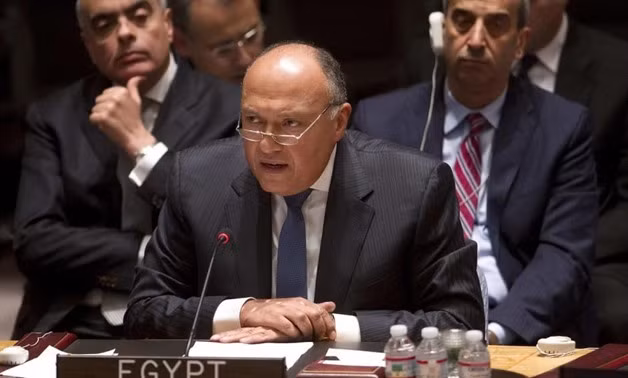Ai Cập: Palestine tiếp tục là vấn đề trọng tâm của thế giới Arab ảnh 1