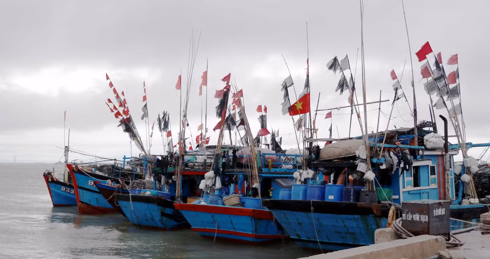 Công điện chủ động ứng phó với tình hình mưa lũ phức tạp ảnh 1