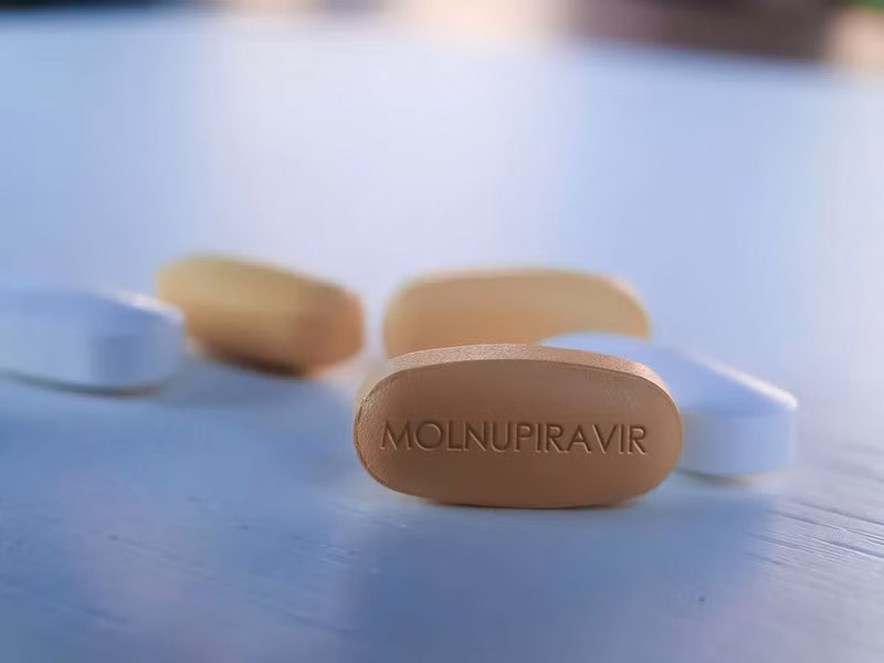 Ngày 27/8, thuốc Molnupiravir được Bộ Y tế đưa vào điều trị F0 tại nhà ảnh 1