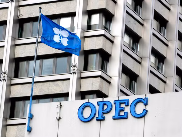 OPEC vẫn giữ nguyên dự báo về tăng trưởng nhu cầu dầu ảnh 1