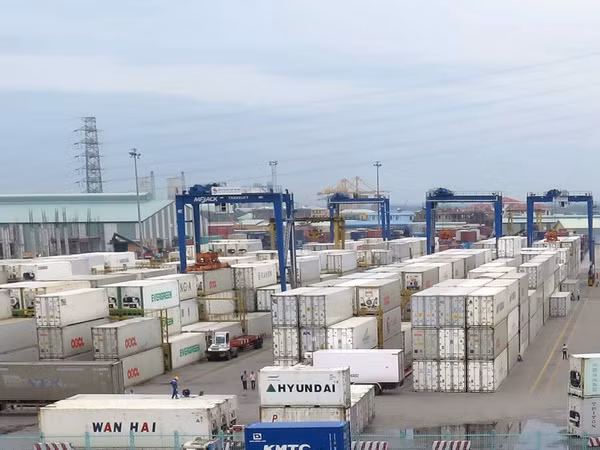 Trên 3.500 container phế liệu đang tồn đọng tại Cảng Hải Phòng ảnh 1