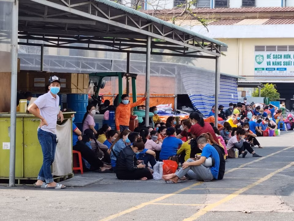 TP Hồ Chí Minh: Hơn 500 công nhân Công ty DaeYun đã trở lại làm việc ảnh 1