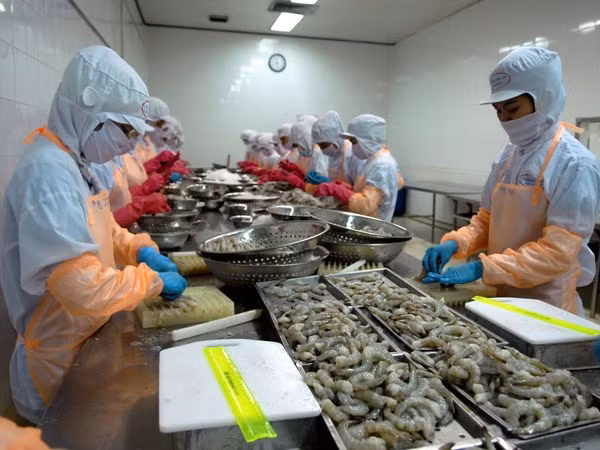 Xuất khẩu nông, lâm, thủy sản năm nay có thể đạt 30 tỷ USD ảnh 1