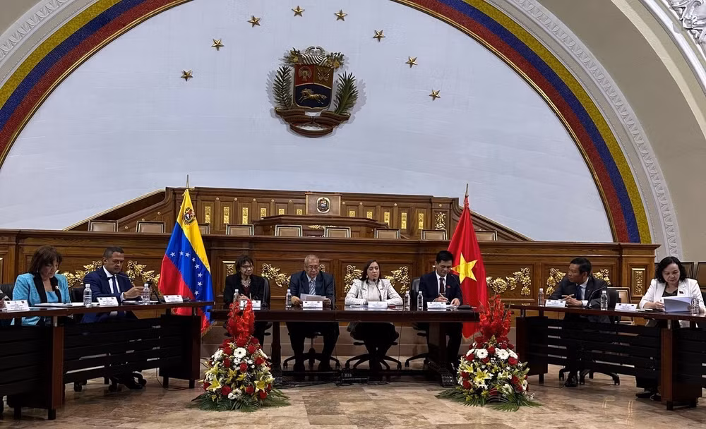 viet nam_venezuela 2.jpg