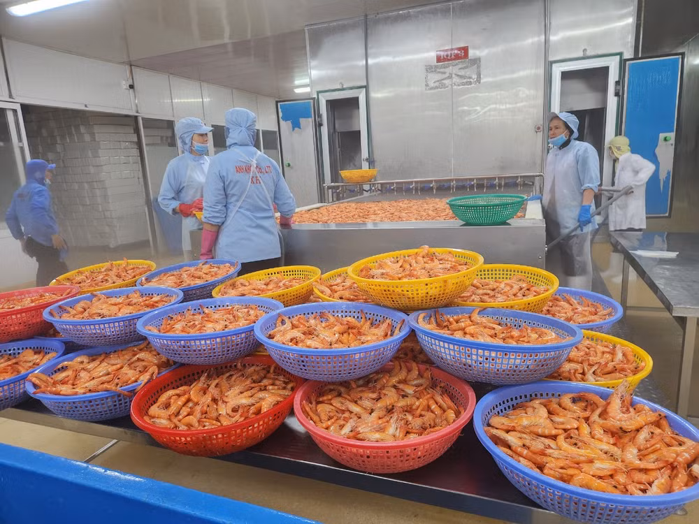 Lãi suất cho vay “dễ thở,” doanh nghiệp đã tiếp cận được nguồn vốn rẻ ảnh 2