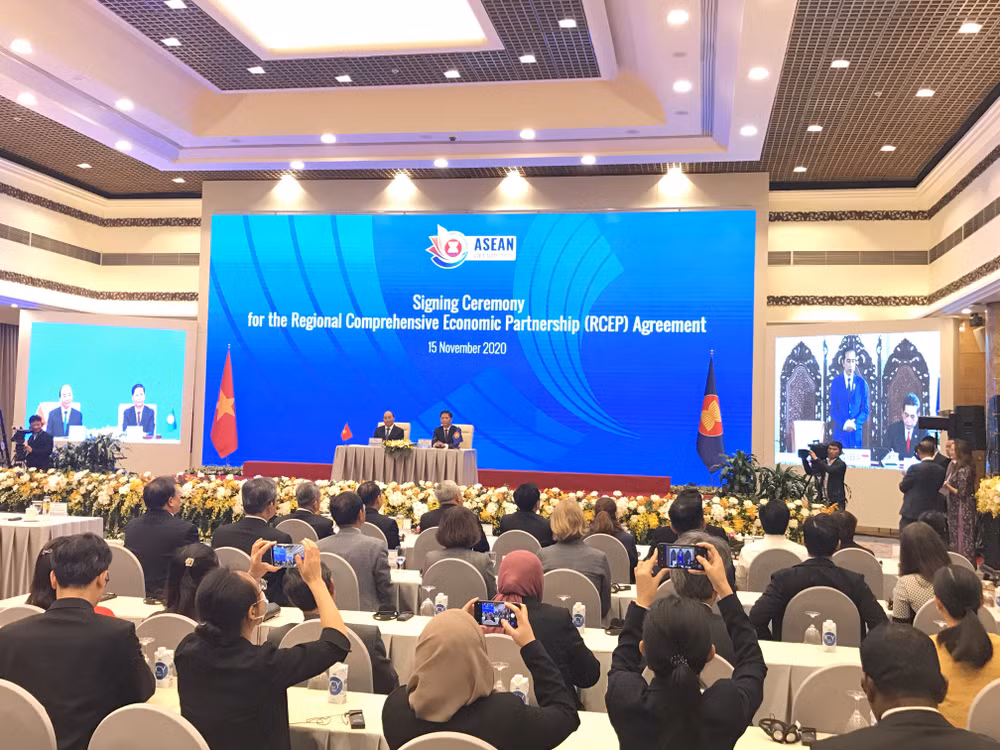 ''Cùng với CPTPP, RCEP mang lại 2 mô hình kinh tế rất lý tưởng'' ảnh 3