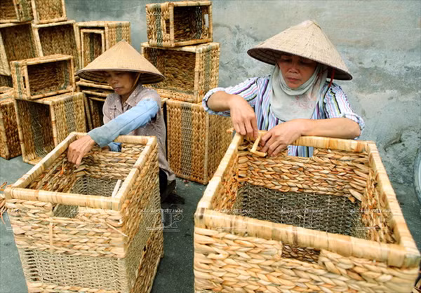  Độc đáo làng nghề truyền thống đan guột Lưu Thượng ảnh 1
