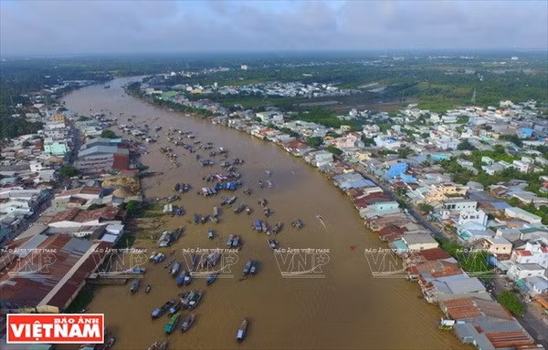 Cần Thơ giới thiệu cơ hội đầu tư thương mại với thị trường Singapore ảnh 1