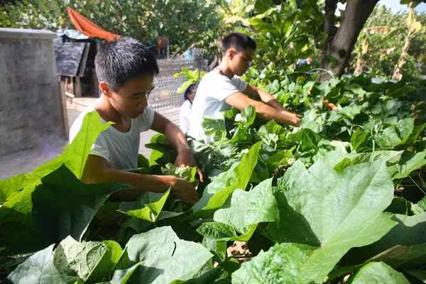 Trường Sa: Sức sống ngày càng mãnh liệt nơi “đầu sóng ngọn gió” ảnh 2