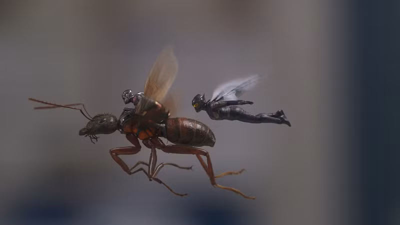 Ant-Man 2: Siêu anh hùng bình dân và quãng nghỉ giữa Infinity War ảnh 1