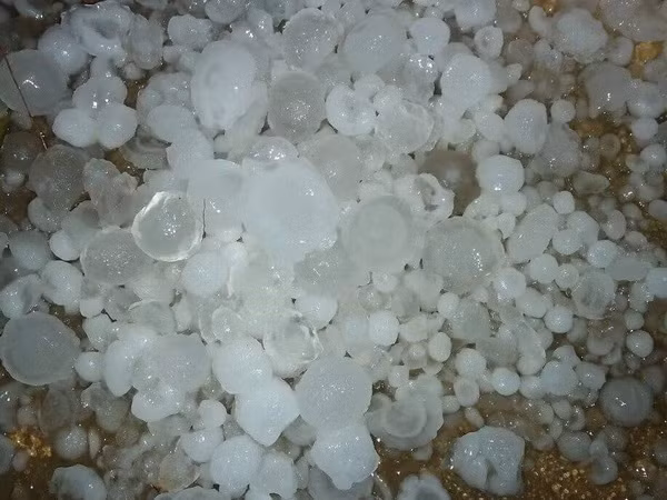 Xuất hiện mưa đá kéo dài kèm giông lốc trên địa bàn Lào Cai ảnh 1