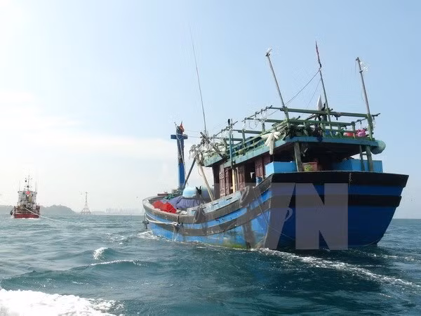 Bốn ngư dân Quảng Ngãi mất tích khi đang khai thác trên biển ảnh 1