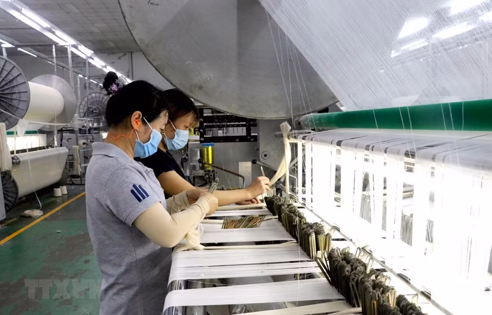 Doanh nghiệp phục hồi phát triển bền vững: Cần thêm nhiều trợ lực ảnh 1