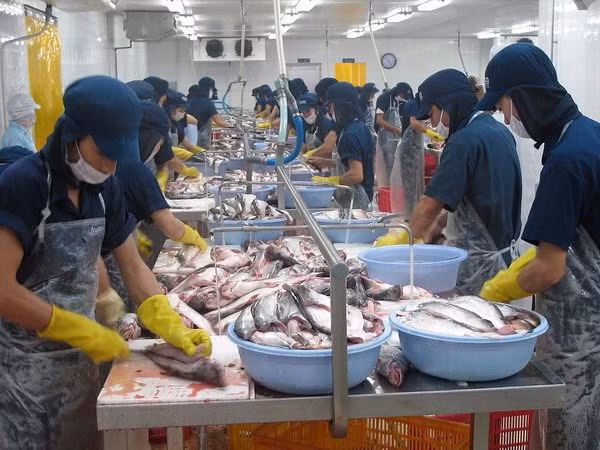 "Cần tính toán tác động của kết quả bầu cử Mỹ khi điều hành kinh tế" ảnh 1