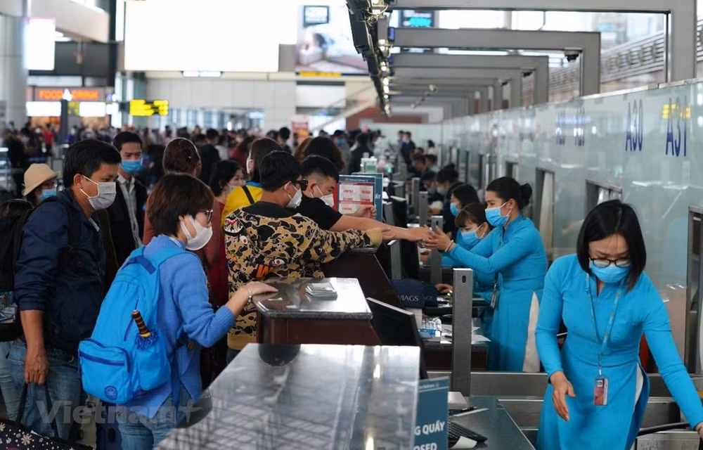 Chịu cú "đánh kép " mang tên COVID-19, doanh nghiệp du lịch kêu cứu ảnh 3