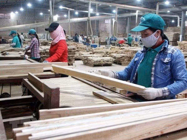 Hoa Kỳ khởi xướng điều tra chống bán phá giá với tủ gỗ từ Việt Nam ảnh 1