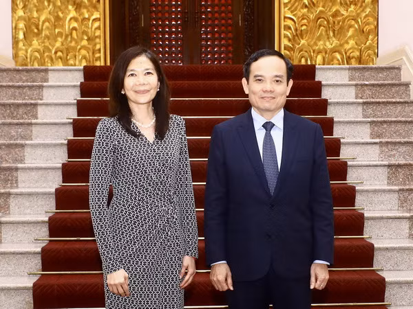 Việt Nam cần sự hỗ trợ của Liên hợp quốc để ứng phó biến đổi khí hậu ảnh 1