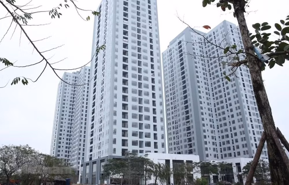 Tránh gây sốc cho người dân, doanh nghiệp khi áp thuế bất động sản ảnh 1