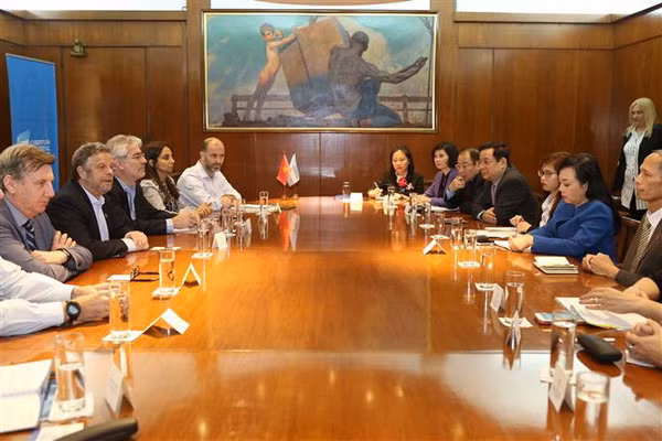 Việt Nam và Argentina trao đổi kinh nghiệm trong lĩnh vực y tế ảnh 1