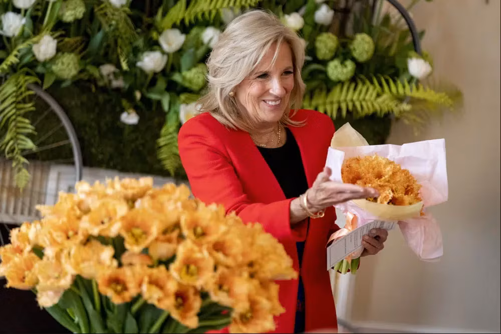 Hà Lan: Loài hoa tulip mới mang tên Đệ nhất phu nhân Mỹ Jill Biden ảnh 1