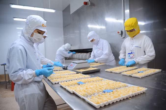 Mặt hàng tôm Việt Nam giữ vị thế số 1 tại nhiều thị trường ảnh 1