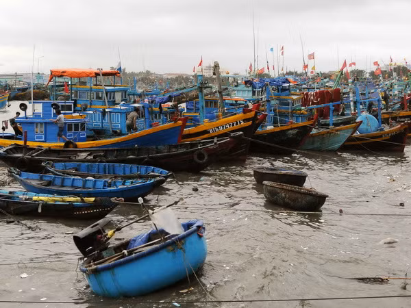 Chìm tàu cá tại Bình Thuận khiến một thuyền viên tử vong ảnh 1