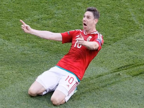 Ngỡ ngàng với kết quả bình chọn Bàn thắng đẹp nhất EURO 2016 ảnh 1