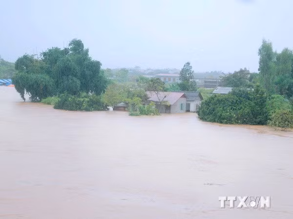 Hoàn lưu bão số 3 và triều cường gây thiệt hại ở Hậu Giang ảnh 1