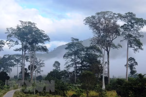 Ninh Thuận: Bảo tồn đa dạng sinh học gắn với du lịch sinh thái ảnh 3