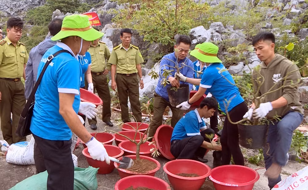 Đảo đá Long Châu rực rỡ muôn sắc hoa giữa biển khơi Tổ quốc ảnh 1