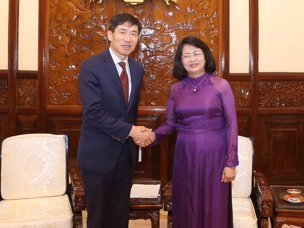 UNDP mong muốn đem lại giá trị gia tăng cho Việt Nam ảnh 1