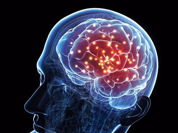 Phát hiện ra các gene quy định trí thông minh ở con người ảnh 1