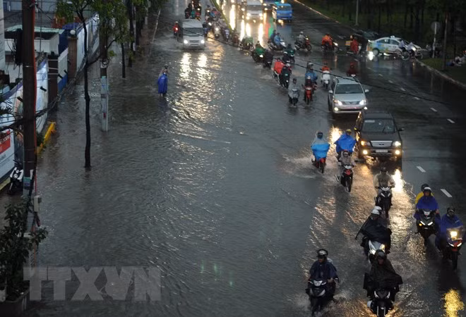 TP. HCM huy động nhiều máy bơm để chống ngập trong mùa mưa ảnh 1